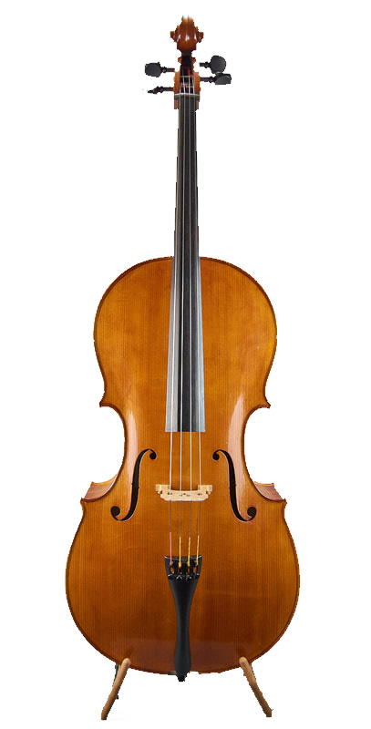 Cello #1
